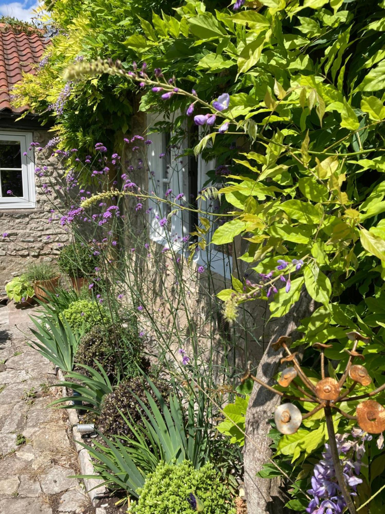 Maplestone Bed & Breakfast Shepton Mallet Exterior photo